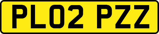 PL02PZZ