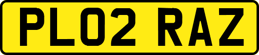 PL02RAZ
