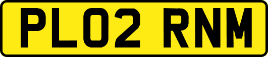 PL02RNM