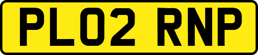 PL02RNP