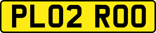 PL02ROO