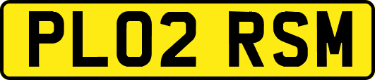 PL02RSM