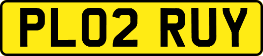 PL02RUY