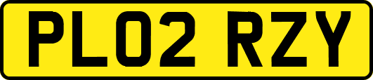 PL02RZY