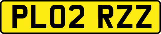 PL02RZZ