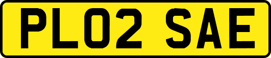 PL02SAE
