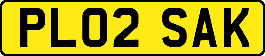 PL02SAK