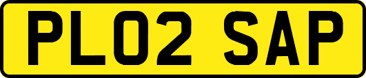 PL02SAP