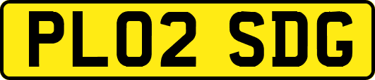 PL02SDG