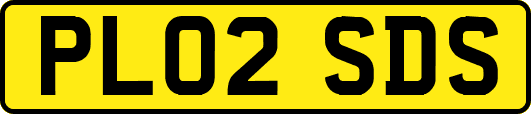 PL02SDS