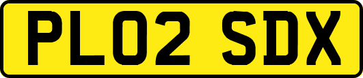 PL02SDX