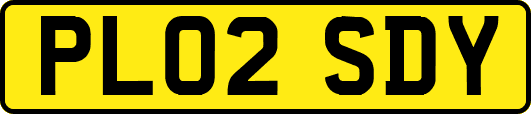 PL02SDY