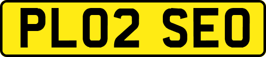 PL02SEO