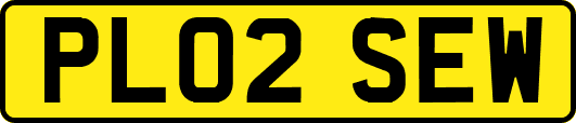 PL02SEW