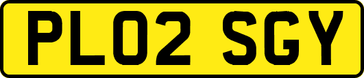 PL02SGY