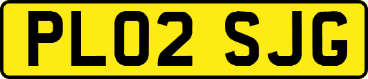 PL02SJG