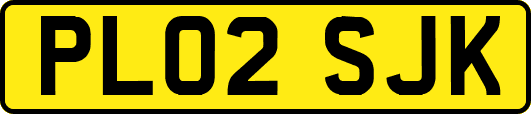 PL02SJK