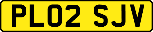 PL02SJV