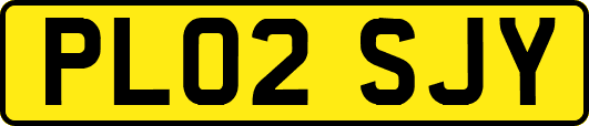 PL02SJY