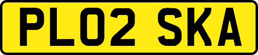 PL02SKA
