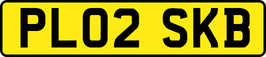 PL02SKB