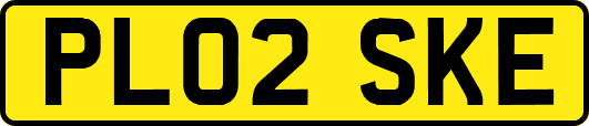PL02SKE