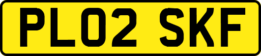 PL02SKF