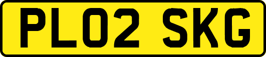 PL02SKG
