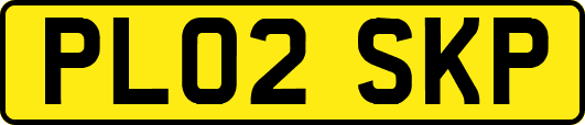 PL02SKP