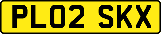 PL02SKX