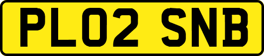 PL02SNB