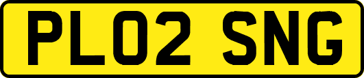 PL02SNG