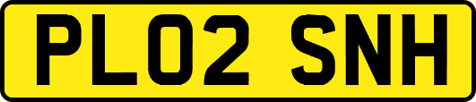 PL02SNH
