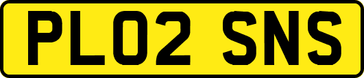 PL02SNS