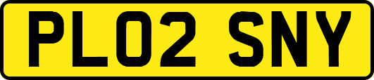 PL02SNY