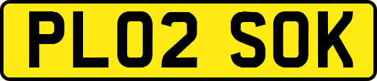 PL02SOK