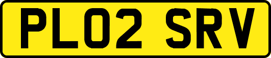 PL02SRV
