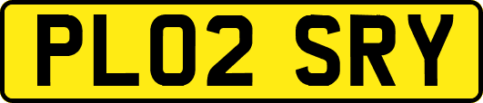 PL02SRY