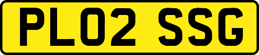 PL02SSG