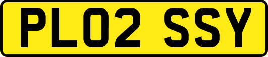 PL02SSY