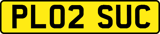 PL02SUC