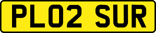 PL02SUR