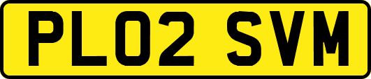 PL02SVM