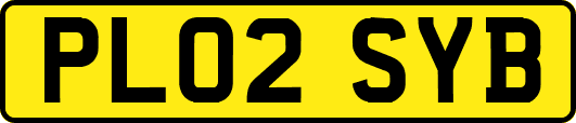 PL02SYB