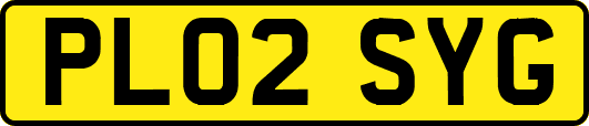 PL02SYG