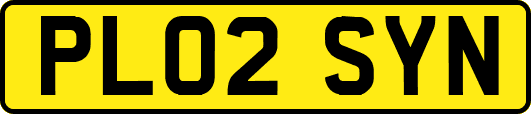 PL02SYN