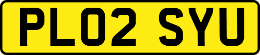 PL02SYU