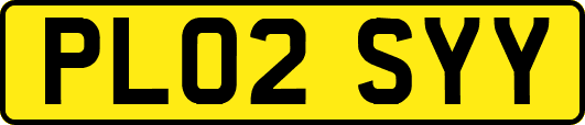 PL02SYY