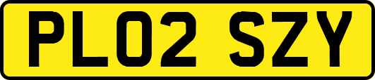PL02SZY
