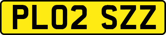 PL02SZZ